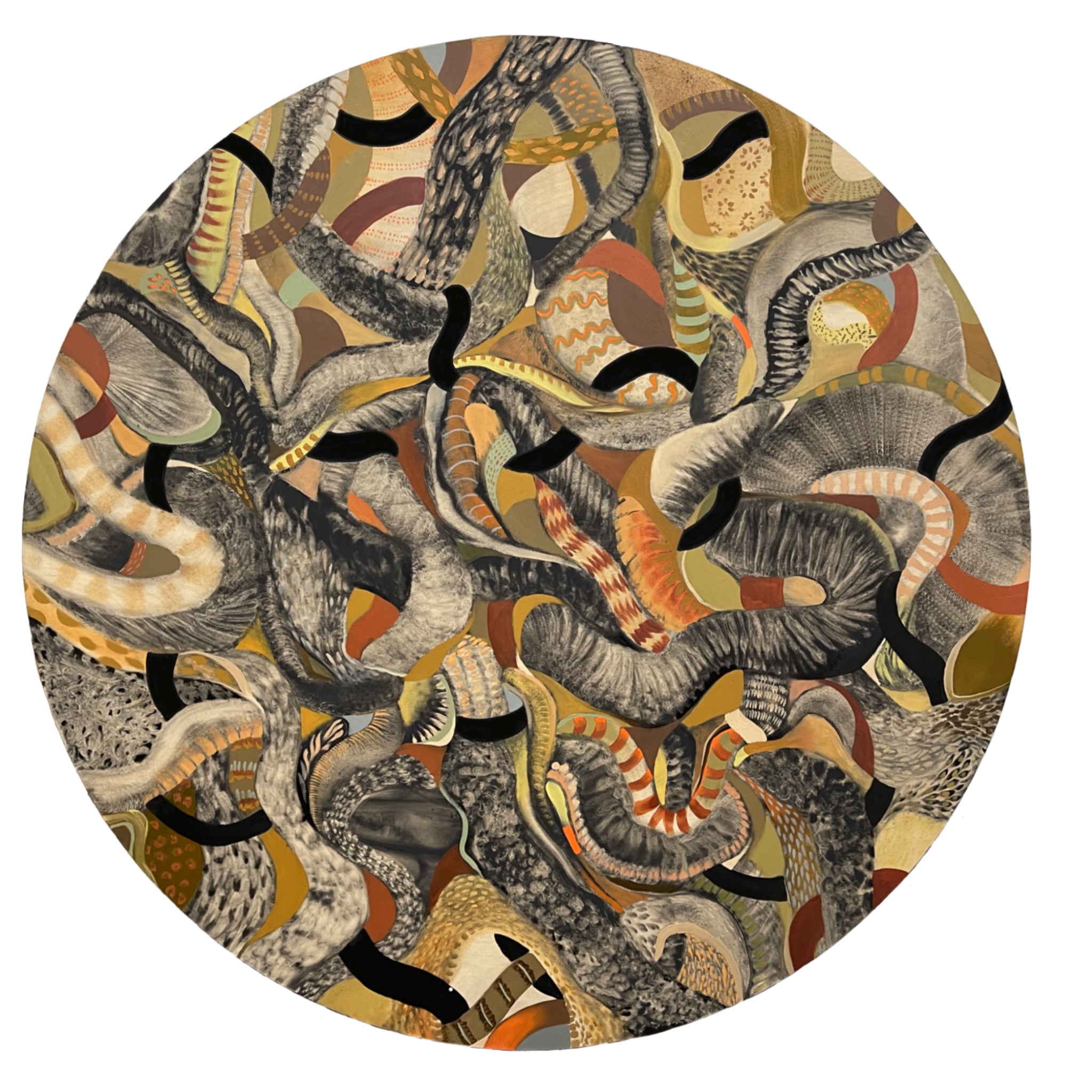 Pavlina Vagioni_Medusa II_oil on birch wood_60 x 60 in