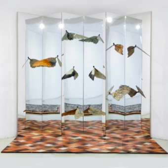 A six-fold screen of mirrors and six bird wings reflected on its surfaces