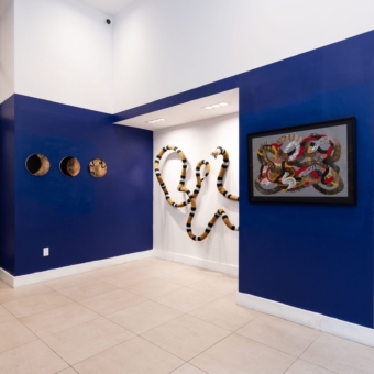 install view-5
