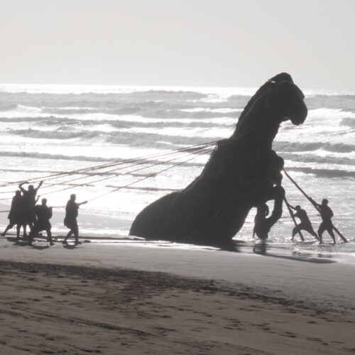 Group of people on a beach pulling ropes attached to a large dark horse sculpture by the water's edge.