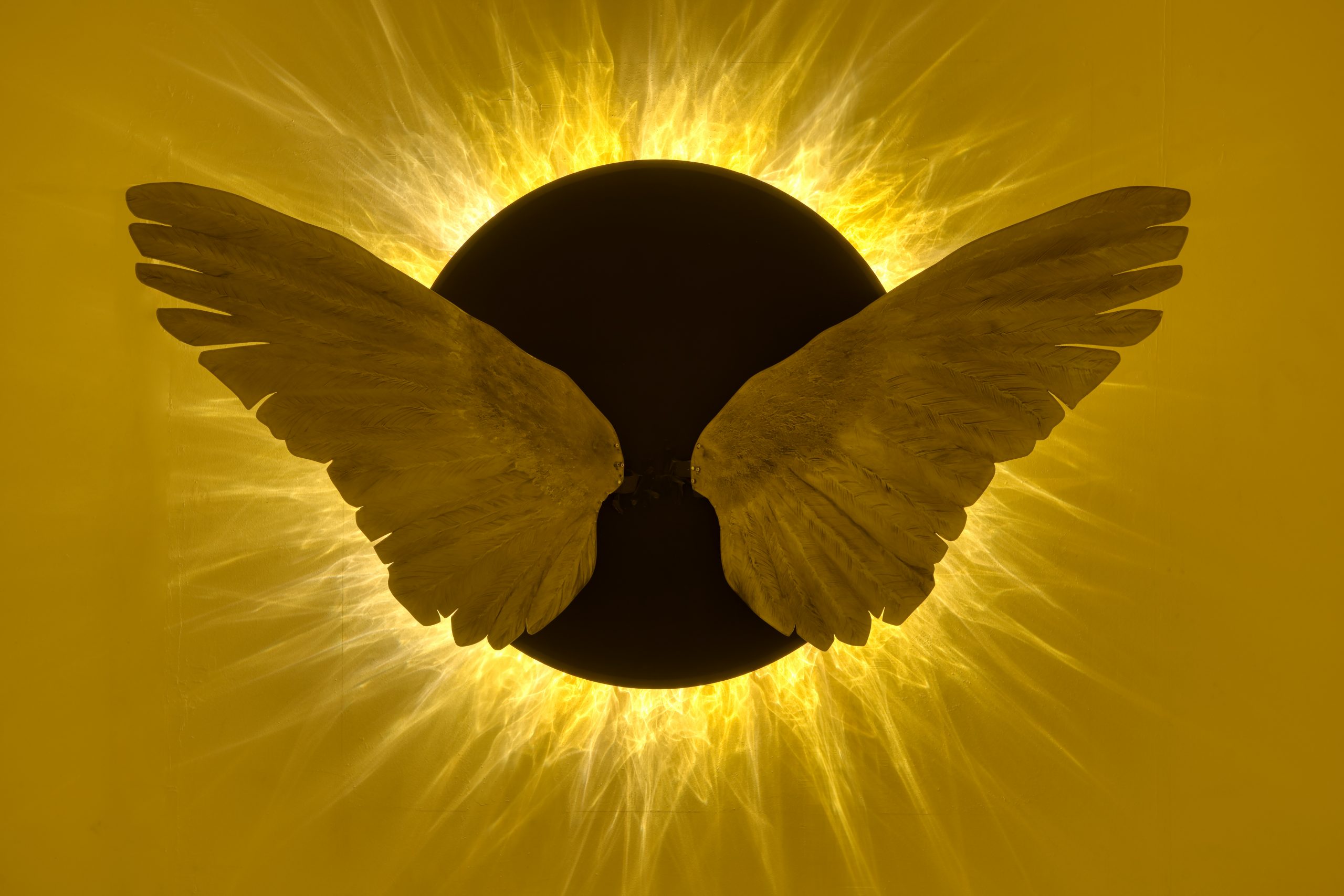 circular light wall sculpture with a pair of wings. Black center and yellow ambient color