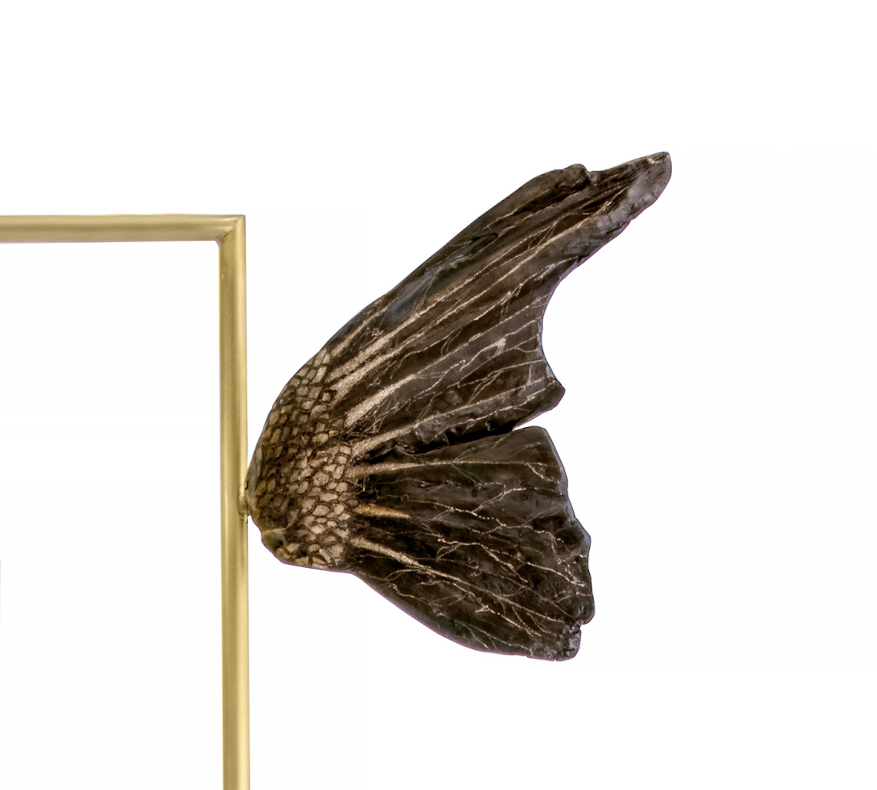 Close-up of a dark bronze wing sculpture mounted to a gold frame on a white background, as part of an abstract art piece.