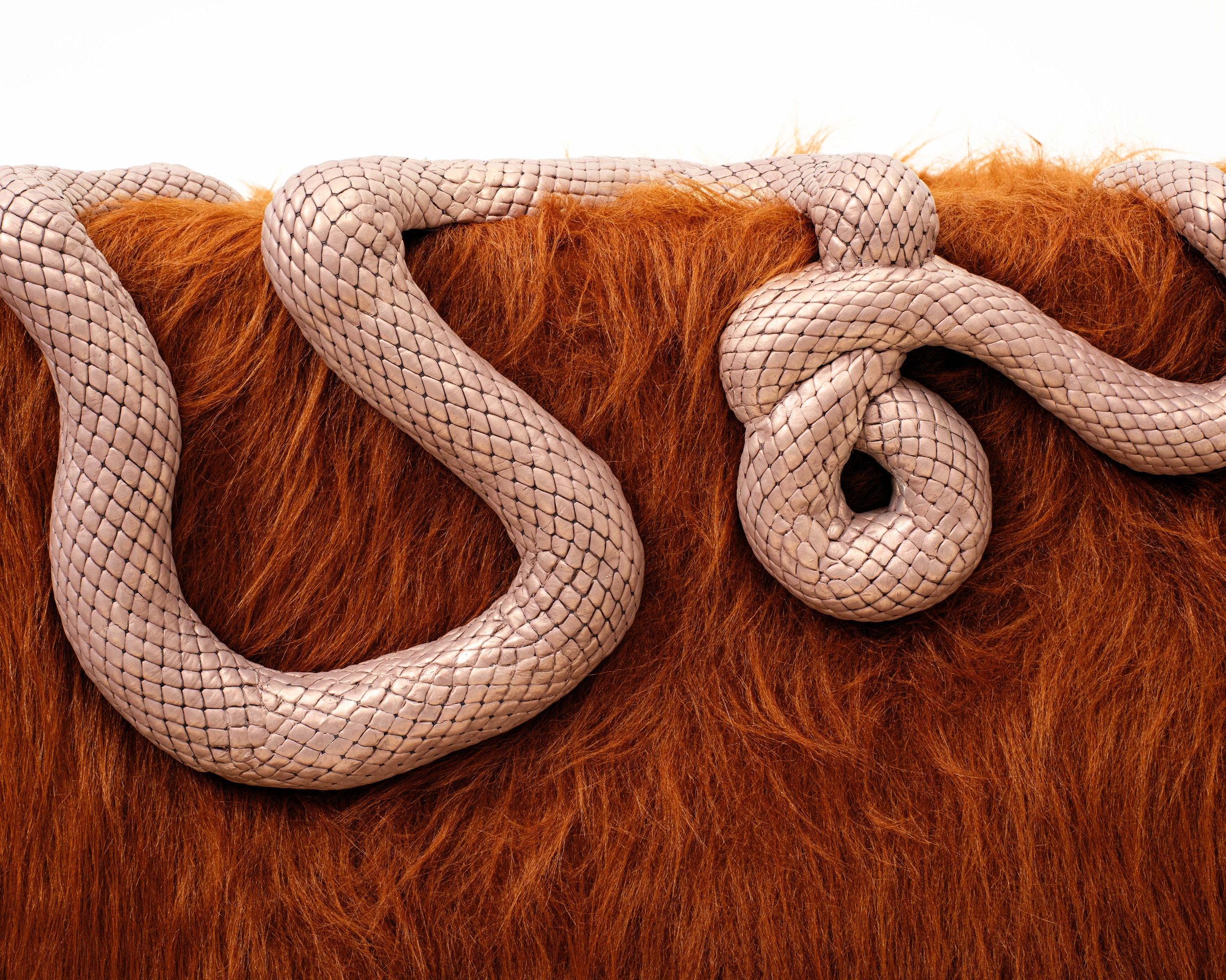 Braided beige rope coils over orange shaggy fur, close-up detail of texture and contrast of colors
